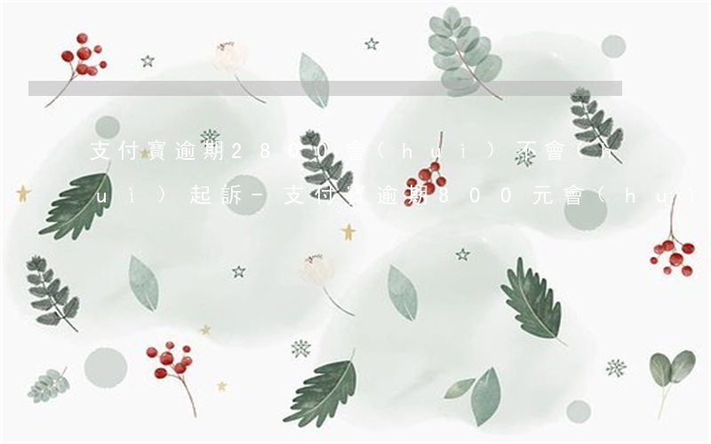 支付寶逾期2800會(huì)不會(huì)起訴-支付寶逾期800元會(huì)起訴嗎