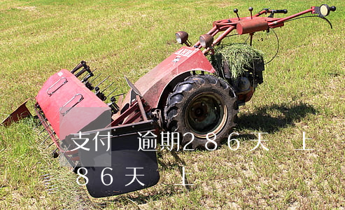 支付寶逾期286天會上門嗎(支付寶逾期286天會上門嗎)