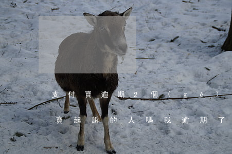 支付寶逾期2個(gè)月被起訴(有被支付寶起訴的人嗎我逾期了1年3個(gè)月了)