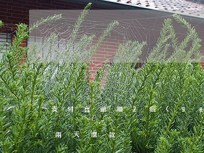 支付寶逾期2個(gè)月還上 支付寶逾期兩天還款