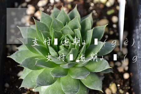 支付寶逾期2個(gè)月還能辦信用卡嗎-支付寶逾期2個(gè)月還能辦信用卡嗎