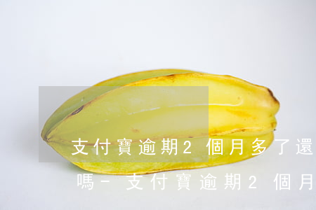 支付寶逾期2個月多了還能協(xié)商嗎-支付寶逾期2個月多了還能協(xié)商嗎怎么辦