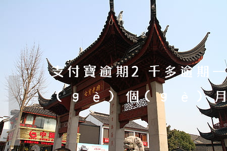 支付寶逾期2千多逾期一年（支付寶逾期2個(gè)個(gè)月）
