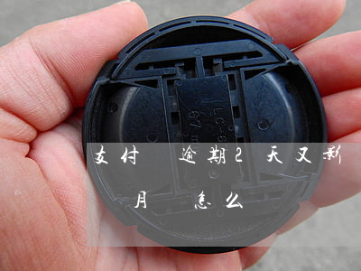 支付寶逾期2天又影響嗎-支付寶逾期了兩個月會怎么樣