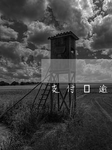 支付寶逾期2月還清(支付寶逾期還清后)