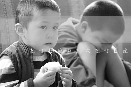 支付寶逾期2次(支付寶逾期2年有沒有事)