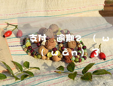 支付寶逾期2萬(wàn)多（支付寶逾期幾萬(wàn)了）