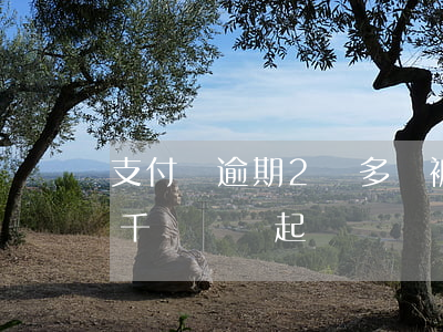支付寶逾期2萬多會被起訴嗎 支付寶逾期幾千塊錢會起訴嗎