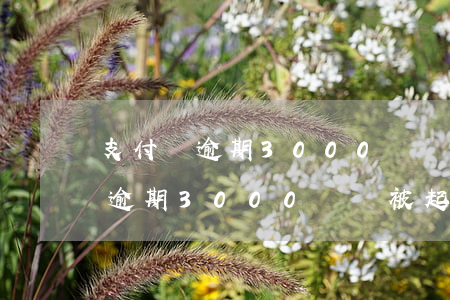支付寶逾期3000塊會被起訴嗎-支付寶逾期3000塊會被起訴嗎知乎