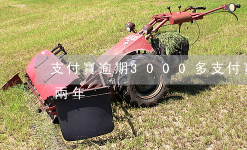 支付寶逾期3000多（支付寶3500逾期兩年）