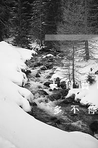 支付寶逾期3000多(支付寶逾期3000多不停地還了,會不會被上門)