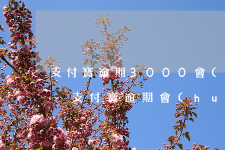 支付寶逾期3000會(huì)上征信嗎-支付寶逾期會(huì)上征信嗎?