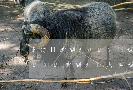 支付寶逾期3000會被起訴(支付寶欠款3000逾期3個月要被起訴嗎)