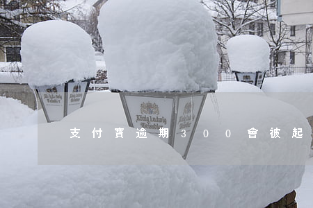 支付寶逾期300會被起訴嗎