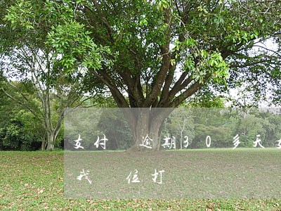 支付寶逾期30多天(支付寶逾期30多天給我單位打電話)