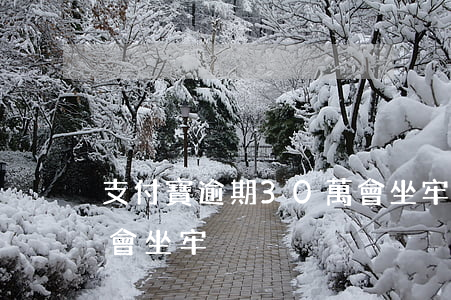 支付寶逾期30萬會坐牢嗎-支付寶逾期了會坐牢