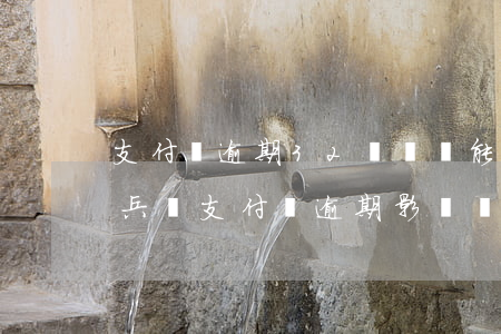 支付寶逾期32條記錄能去當(dāng)兵嗎 支付寶逾期影響當(dāng)兵嗎