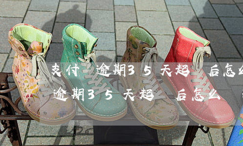 支付寶逾期35天起訴后怎么處理-支付寶逾期35天起訴后怎么處理呢
