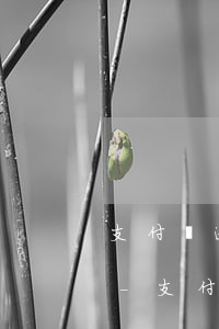 支付寶逾期3個(gè)月了可以再分期嗎-支付寶逾期三個(gè)月后可以一點(diǎn)點(diǎn)還嗎