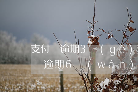 支付寶逾期3個(gè)月安排家訪-支付寶逾期6萬(wàn)半年,昨天說(shuō)上門(mén)家訪真的會(huì)來(lái)嗎?