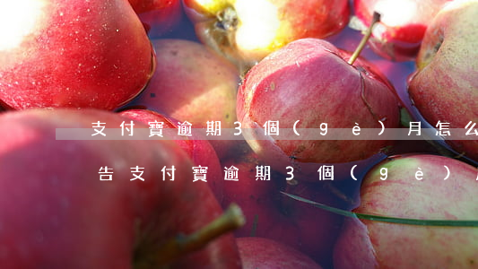 支付寶逾期3個(gè)月怎么辦,真的會被告（支付寶逾期3個(gè)月）