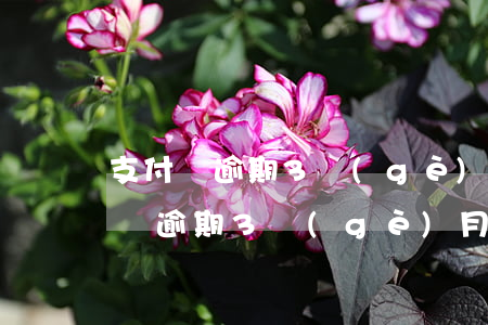 支付寶逾期3個(gè)月還可以拖嗎 支付寶逾期3個(gè)月還可以拖嗎