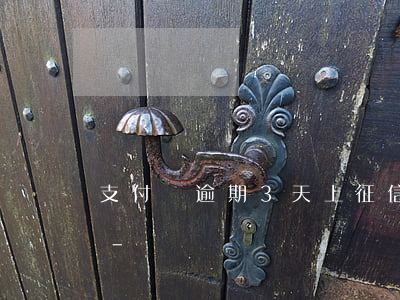 支付寶逾期3天上征信報(bào)告了嗎-