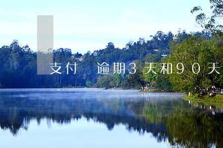 支付寶逾期3天和90天的區(qū)別-