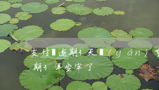 支付寶逾期3天嚴(yán)重嗎(支付寶逾期3年坐牢了)