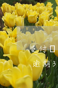 支付寶逾期3天忘了還有什么影響-支付寶逾期3天忘了還有什么影響嗎
