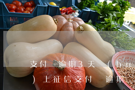 支付寶逾期3天會(huì)不會(huì)上征信(支付寶逾期幾天才會(huì)上征信)
