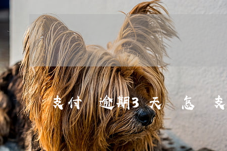 支付寶逾期3天會怎樣(支付寶逾期兩天有事嗎)