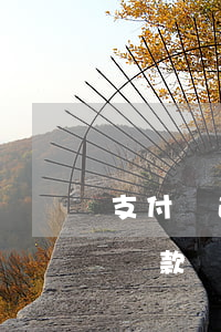 支付寶逾期3年現(xiàn)在還了老公貸款買房有影響嗎（支付寶逾期3年現(xiàn)在還了）