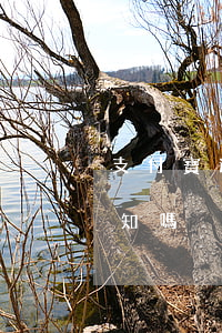 支付寶逾期3月來電(支付寶逾期會有電話通知嗎)