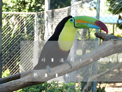 支付寶逾期3次影響貸款么（支付寶逾期3次影響貸款么）
