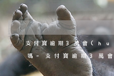 支付寶逾期3萬會(huì)限制你坐高鐵嗎-支付寶逾期3萬會(huì)限制你坐高鐵嗎為什么