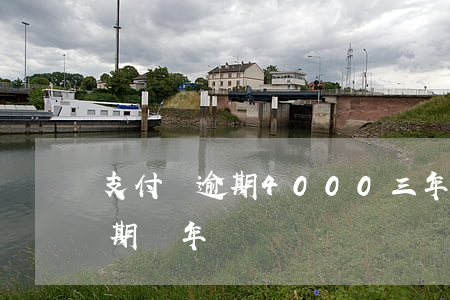 支付寶逾期4000三年(支付寶4000逾期兩年)