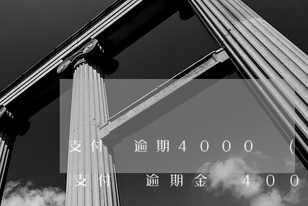 支付寶逾期4000說(shuō)要上門 支付寶逾期金額4000多,說(shuō)要上門調(diào)查