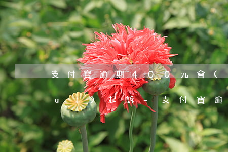 支付寶逾期400元會(huì)不會(huì)起訴-支付寶逾期400元會(huì)不會(huì)起訴我