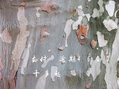 支付寶逾期4500起訴案例(支付寶逾期四千多起訴)