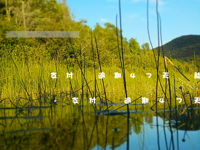 支付寶逾期47天還能恢復(fù)使用嗎-支付寶逾期47天還能恢復(fù)使用嗎
