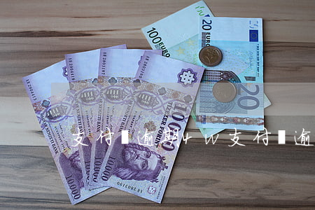 支付寶逾期4w(支付寶逾期4萬一年)