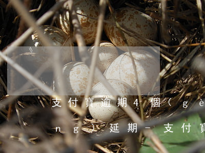 支付寶逾期4個(gè)月怎么申請(qǐng)延期-支付寶逾期4個(gè)月怎么申請(qǐng)延期還款