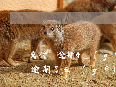 支付寶逾期4個(gè)月支付寶吧(支付寶逾期了五個(gè)月)