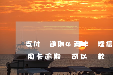 支付寶逾期4天咋辦理信用卡(支付寶逾期信用卡逾期還可以貸款嗎?)