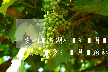 支付寶逾期4萬3個月會起訴嗎-支付寶逾期4萬多3個月會被起訴嗎?