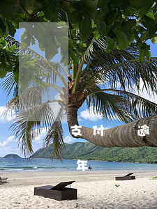支付寶逾期4萬兩年(支付寶4000逾期兩年)
