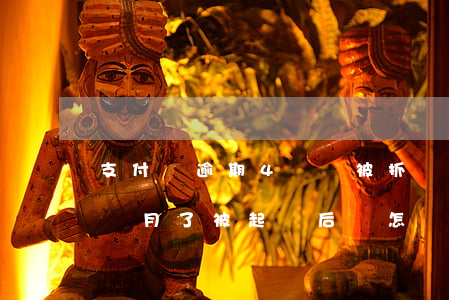 支付寶逾期4萬會被抓嗎(支付寶四萬逾期三個月了,被起訴后會怎樣)