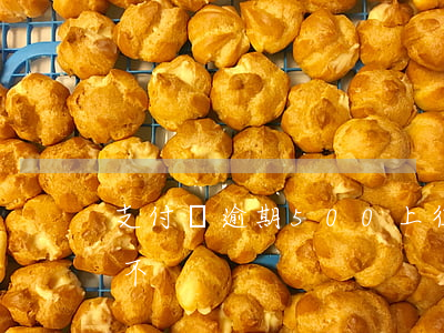 支付寶逾期500上征信(支付寶逾期上征信不)