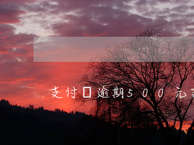 支付寶逾期500元(支付寶逾期5萬塊錢)